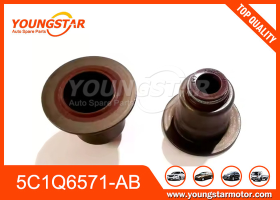 5C1Q6571-AB Valve steal voor Ford V348 Transit 2.4 2.2