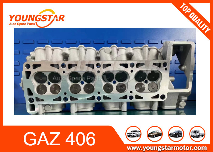 GAZ voertuig cilinderkop Assy GAZ 406 / ZMZ406 / ZMZ 405 Voor de Russische markt