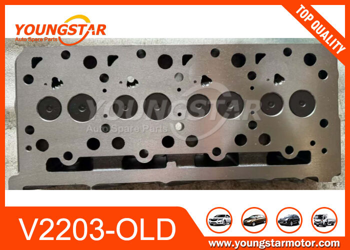 Kubota V2203 Complete Cilinderkop Assemblage met IJzeren Gietstuk 8v Klep en 4cil voor Dieselmotor