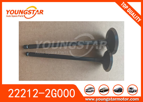 22211-2G000 22212-2G000 Motorklep voor Hyundai G4KD