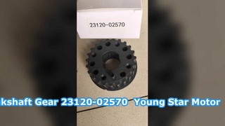 Hyundai Getz Krukastandwiel Tandwiel 23120-02570 YOUNG STAR MOTOR