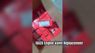 ISUZU 6BG1 6BD1 Motorklep 0114 0279 Vervanging